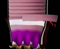 img11.jpg