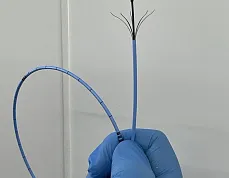 600